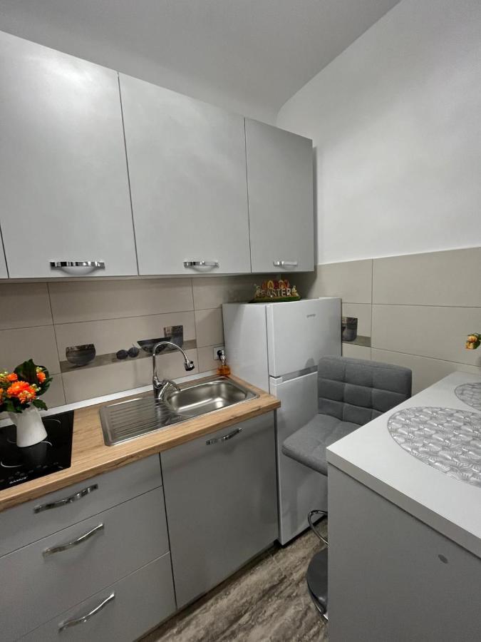 Central Studio Braşov Exteriör bild